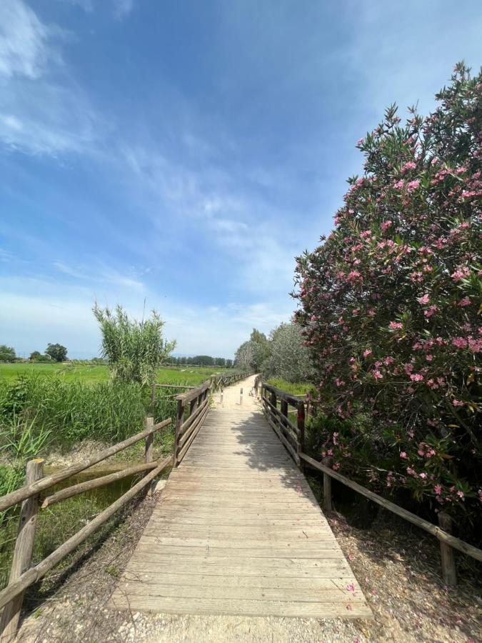 El Secreto Del Descanso Del Ebro Сан-Жауме-де-Энвежа Экстерьер фото